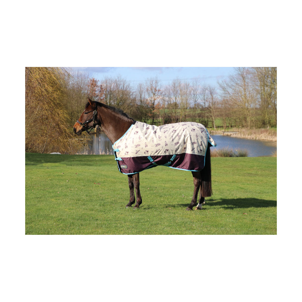 StormX Thelwell Country 100g Turnout Rug Ride & Shine Equestrian Supplies