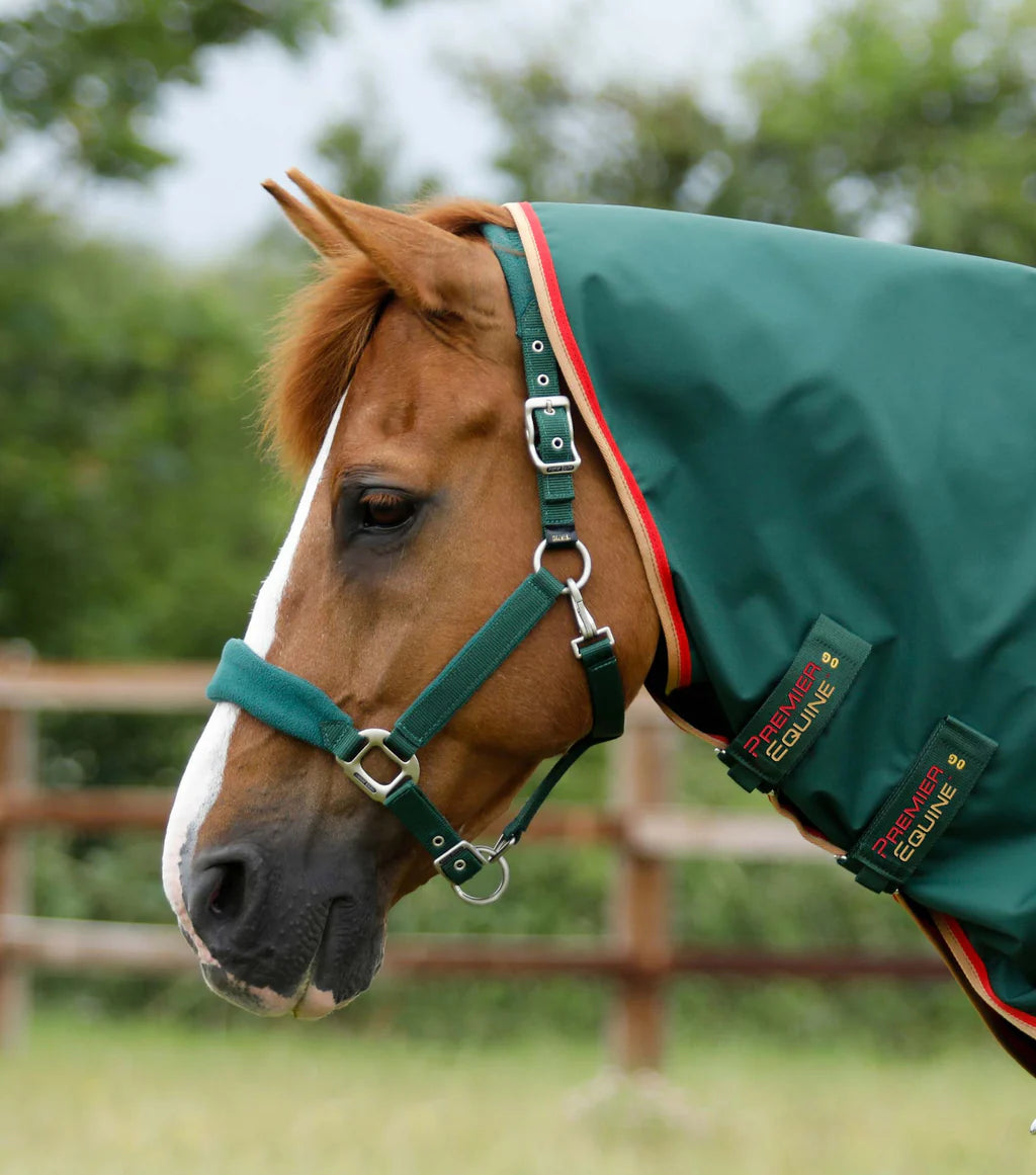 Premier Equine Buster Zero Turnout Rug with Classic Neck Cover Green