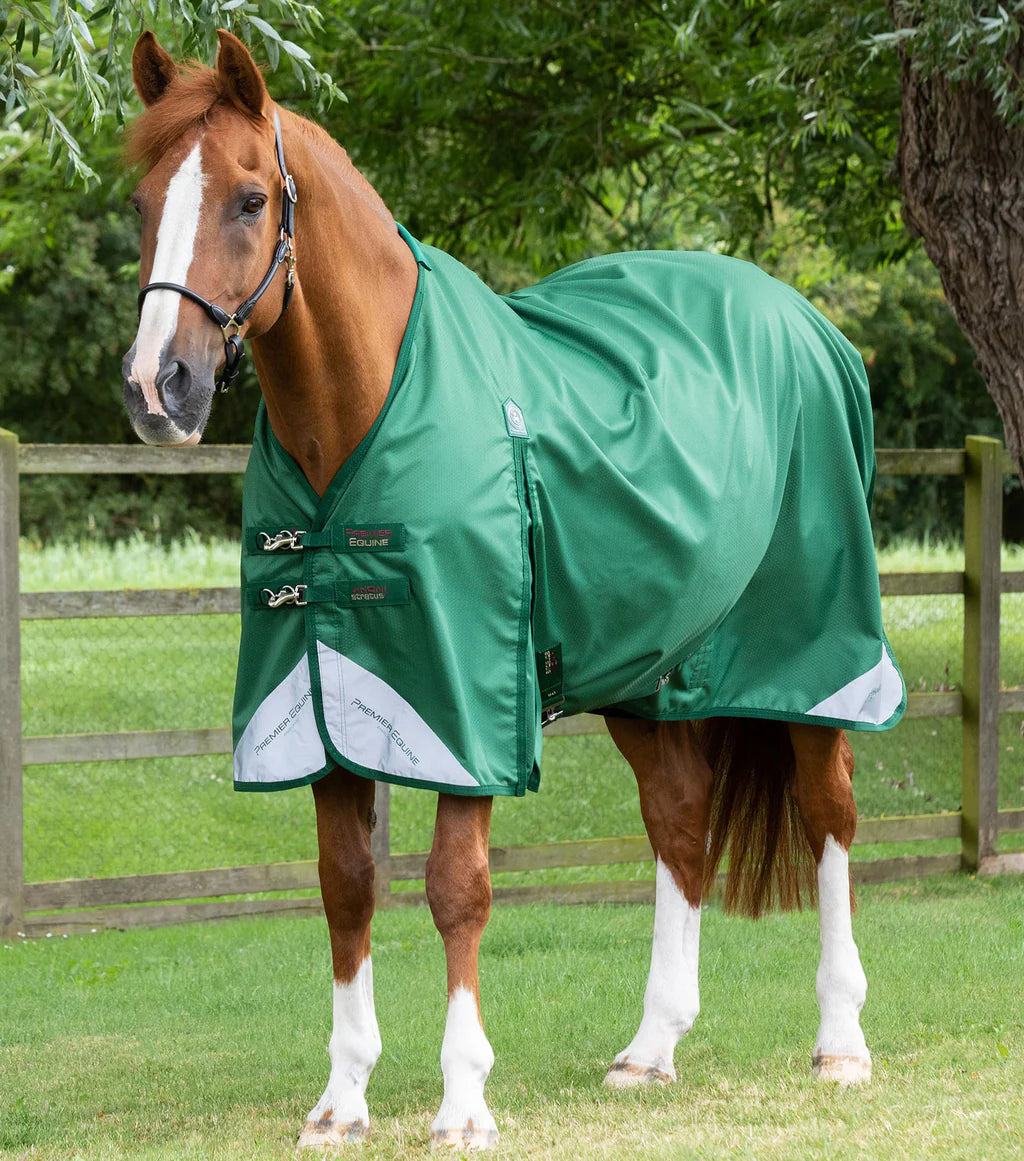 Premier Equine Akoni 0g Original Turnout Rug Green