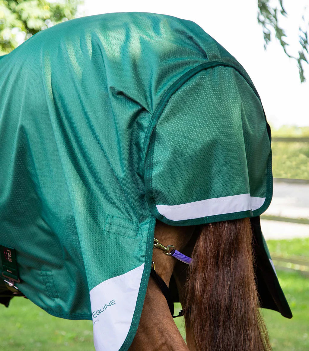 Premier Equine Akoni 0g Original Turnout Rug Green