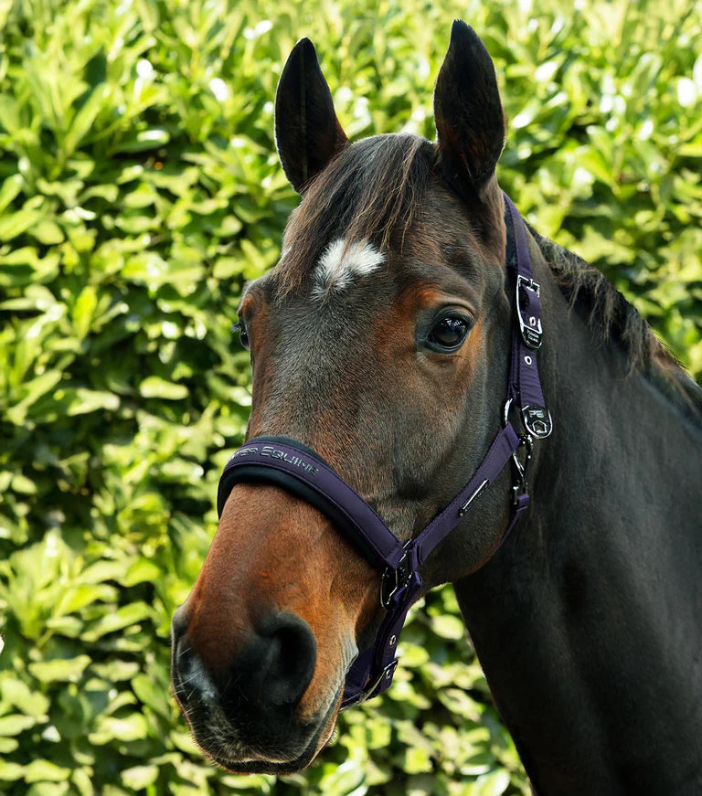 Premier Equine Duco Padded Head Collar With Lead Rope Grape