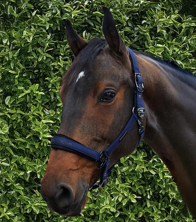 Premier Equine Duco Padded Head Collar With Lead Rope Navy