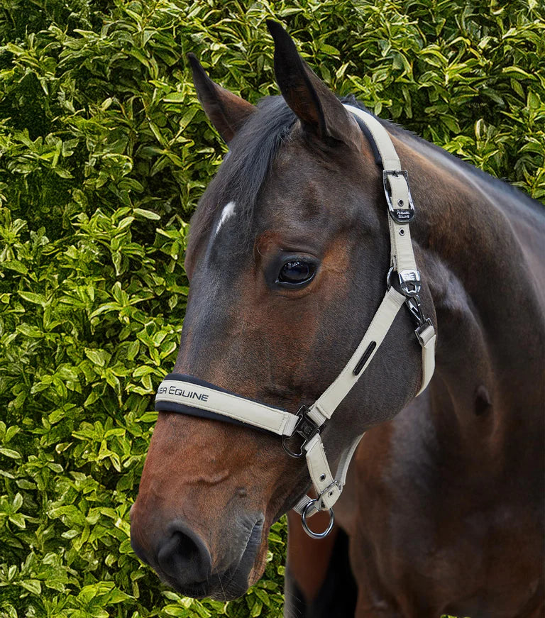 Premier Equine Duco Padded Head Collar With Lead Rope Taupe