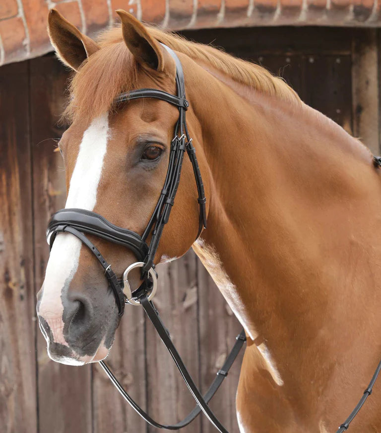 Premier Equine Favoloso Anatomic Bridle with Crank Noseband