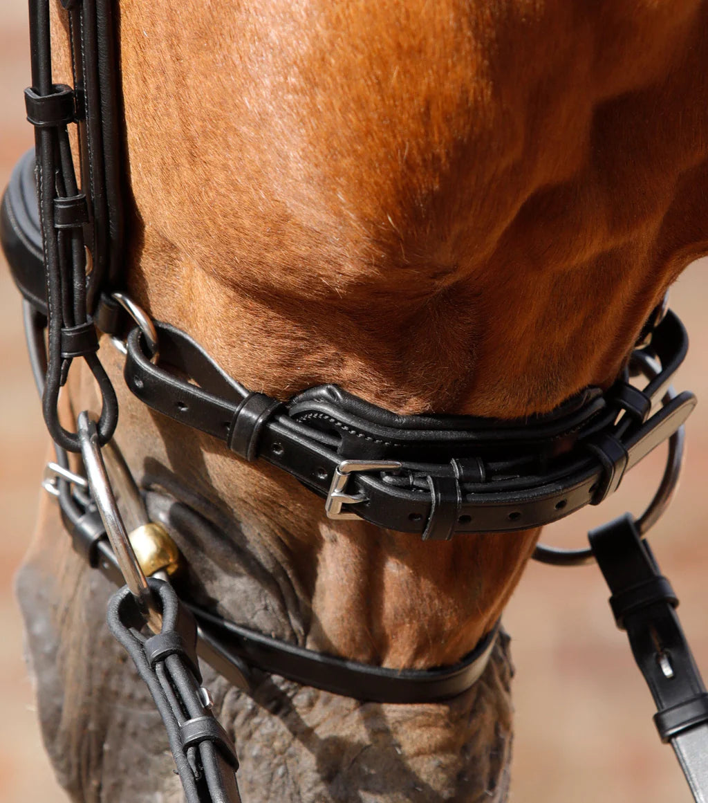 Savuto Anatomic Bridle with Crank Noseband & Flash