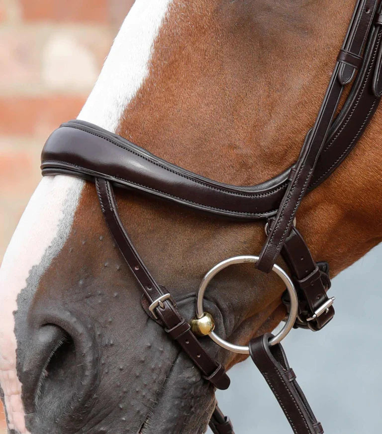 Savuto Anatomic Bridle with Crank Noseband & Flash