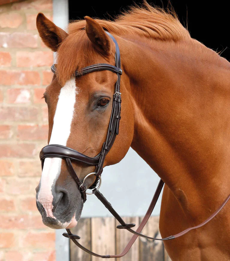 Savuto Anatomic Bridle with Crank Noseband & Flash