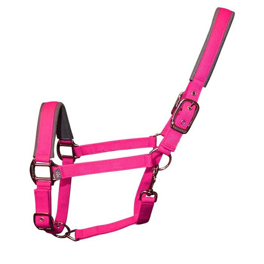 Woof Wear Headcollar and Lead Rope Set - Berry