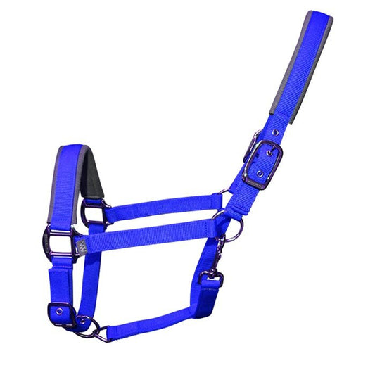 Woof Wear Head Collar and Lead Rope Set - Electric Blue