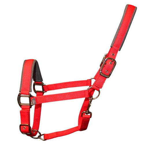 Woof Wear Head Collar and Lead Rope Set - Royal Red