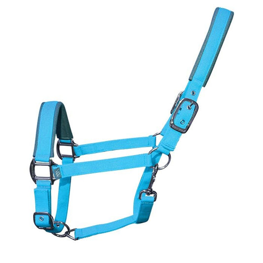 Woof Wear Head Collar and Lead Rope Set - Turquoise