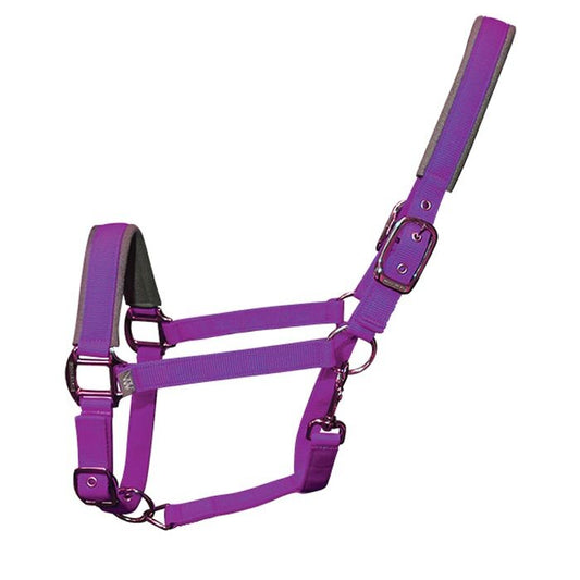 Woof Wear Head Collar and Lead Rope Set - Ultra Violet