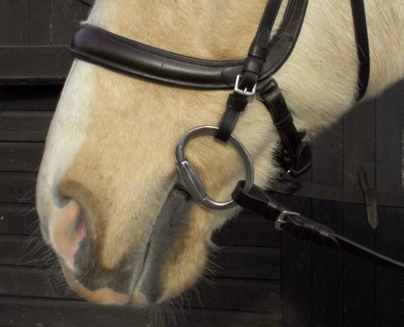 Heritage Anatomical Cavesson Bridle