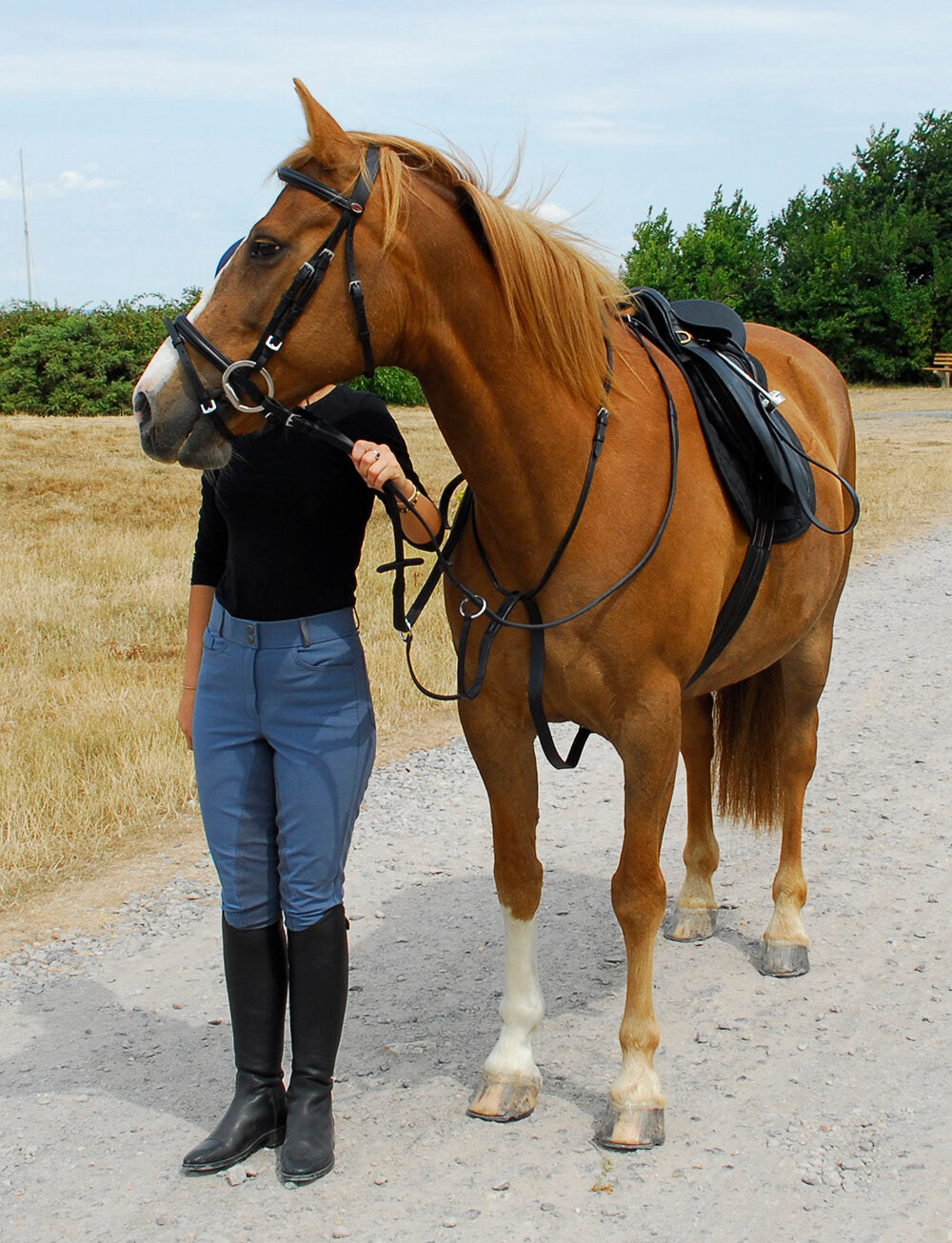 Windsor Leather Running Martingale