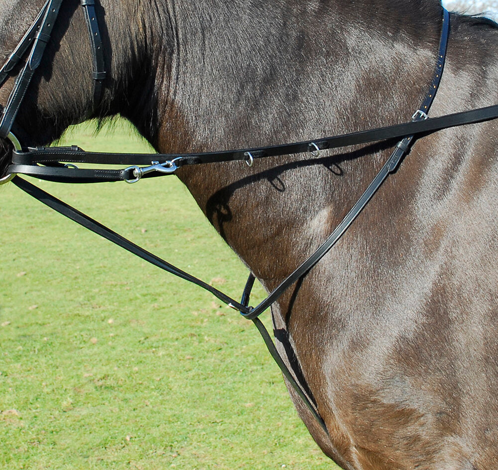 Leather Market Harborough With Reins