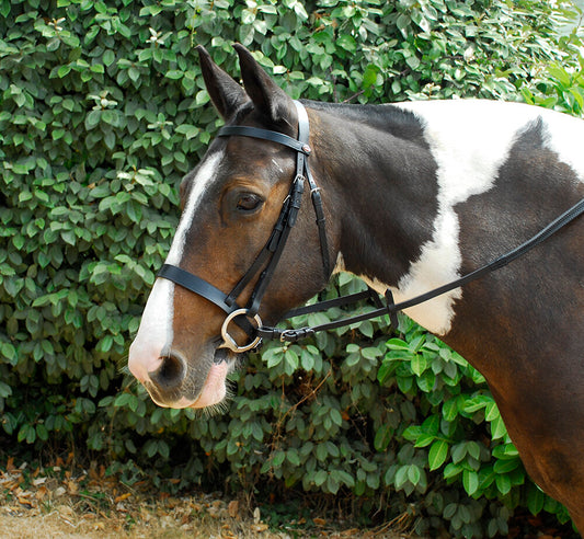 Plain Leather Hunter Bridle With Reins
