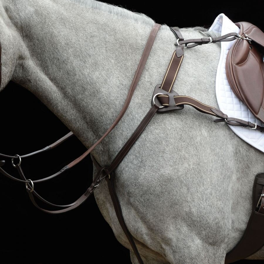 Collegiate 5 Point Breastplate IV