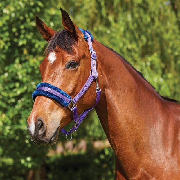 Saxon Fleece Element Head Collar