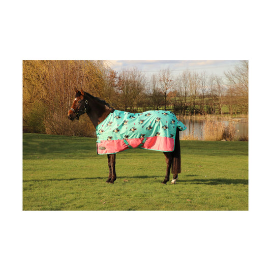 StormX Thelwell Trophy 0g Turnout Rug
