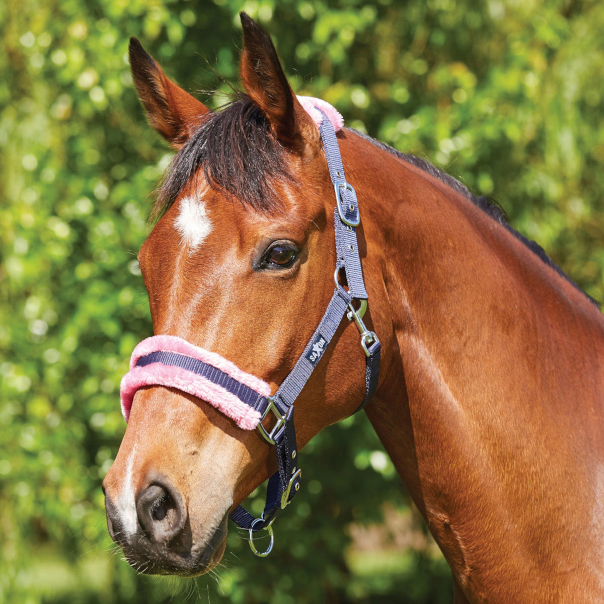 Saxon Fleece Element Head Collar