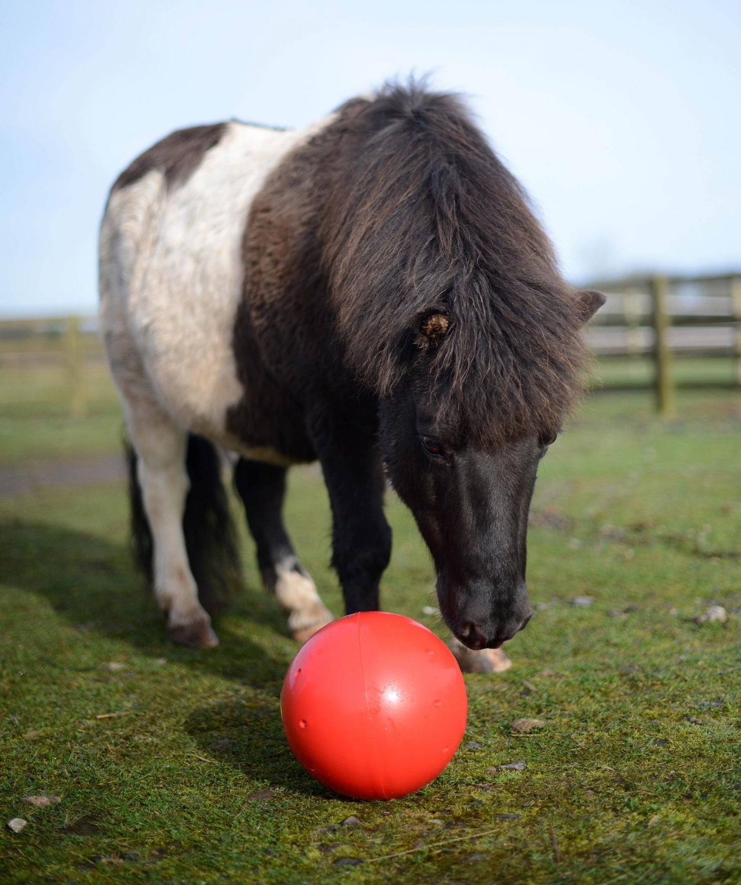 Likit Snak-a-ball