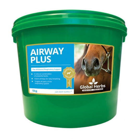 Global Herbs Airway Plus 1KG