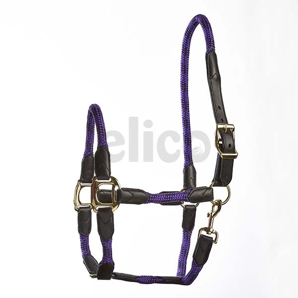 Elico Galway Headcollar & Lead Rope Set